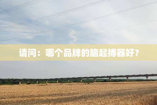 请问：哪个品牌的脑起搏器好？