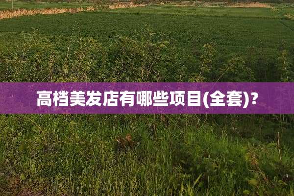 高档美发店有哪些项目(**)？