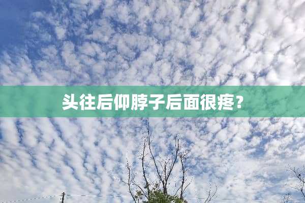 头往后仰脖子后面很疼？