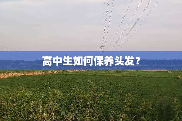 高中生如何保养头发？