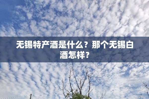 无锡特产酒是什么？那个无锡白酒怎样？