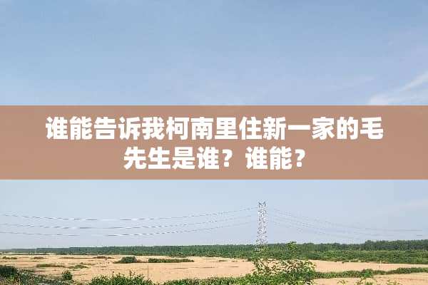 谁能告诉我柯南里住新一家的毛先生是谁？谁能？