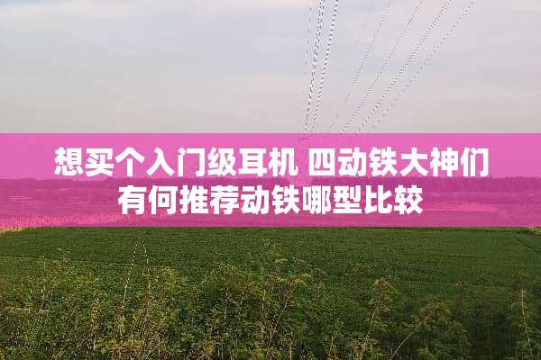 想买个入门级耳机 四动铁大神们有何推荐动铁哪型比较