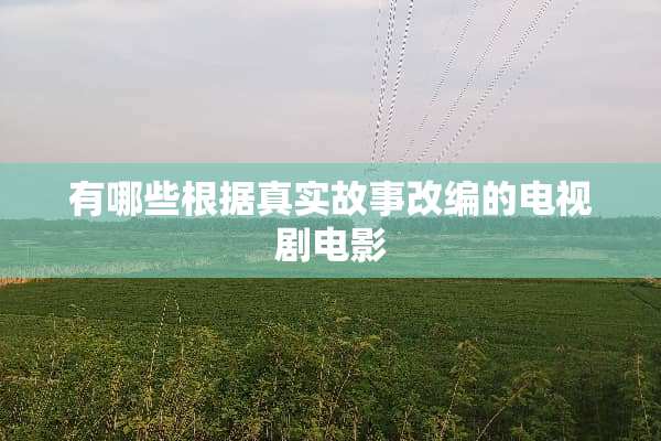 有哪些根据真实故事改编的电视剧电影