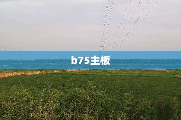 b75主板