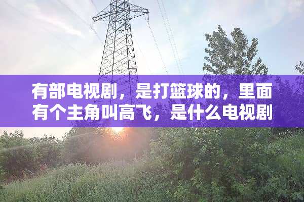 有部电视剧，是打篮球的，里面有个主角叫高飞，是什么电视剧？