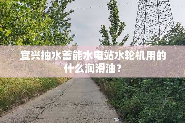 宜兴抽水蓄能水电站水轮机用的什么润滑油？
