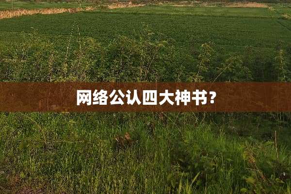 网络公认四大神书？