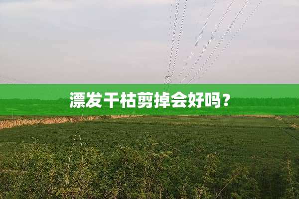 漂发干枯剪掉会好吗？