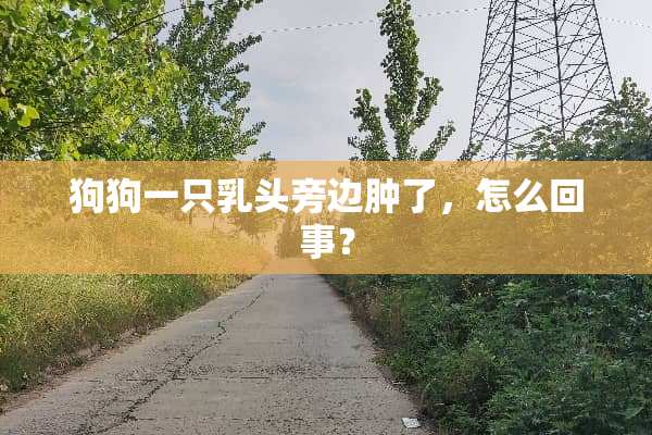 狗狗一只*头旁边肿了，怎么回事？