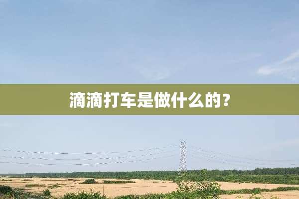 滴滴打车是做什么的？
