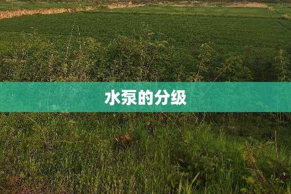 水泵的分级