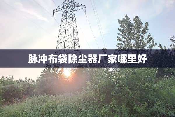 脉冲布袋除尘器厂家哪里好