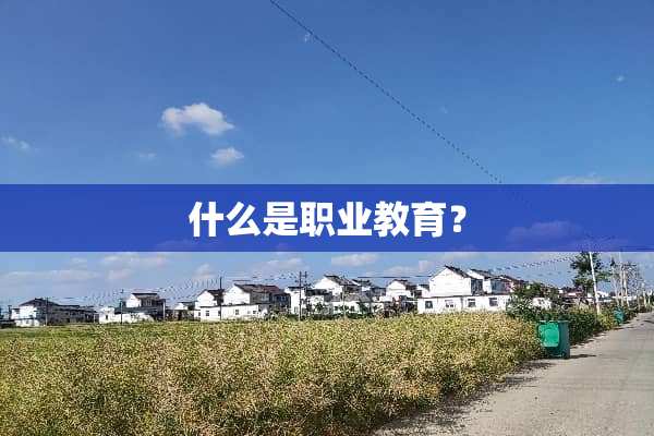 什么是职业教育？