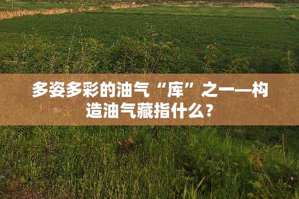 多姿多彩的油气“库”之一—构造油气藏指什么？