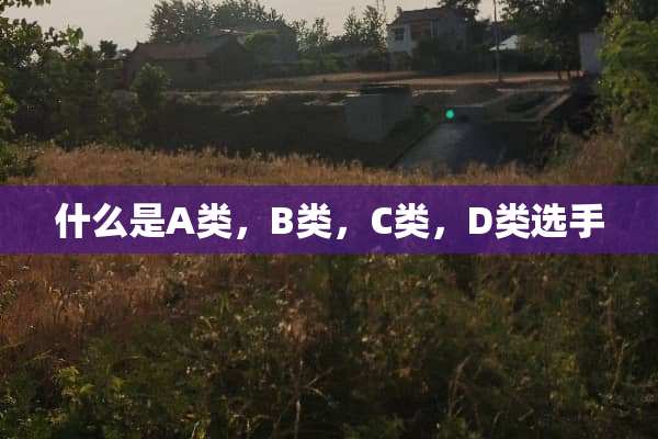 什么是A类，B类，C类，D类选手