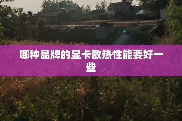 哪种品牌的显卡散热性能要好一些