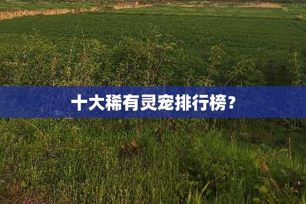 十大稀有灵宠排行榜？