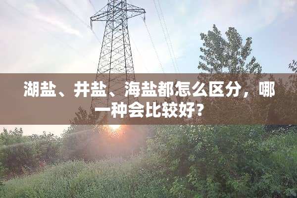 湖盐、井盐、海盐都怎么区分，哪一种会比较好？