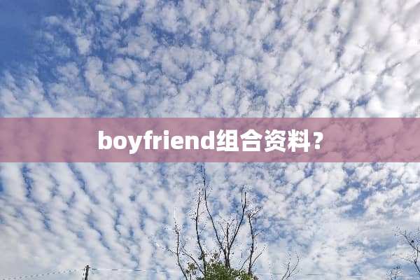 boyfriend组合资料？
