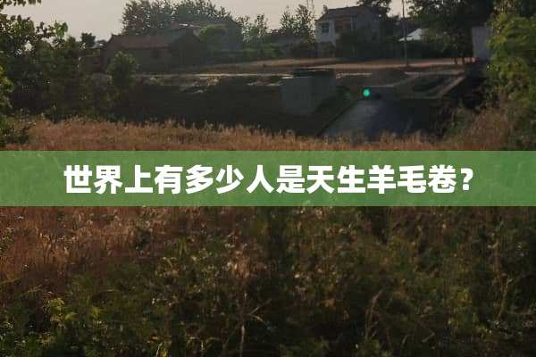 世界上有多少人是天生羊毛卷？