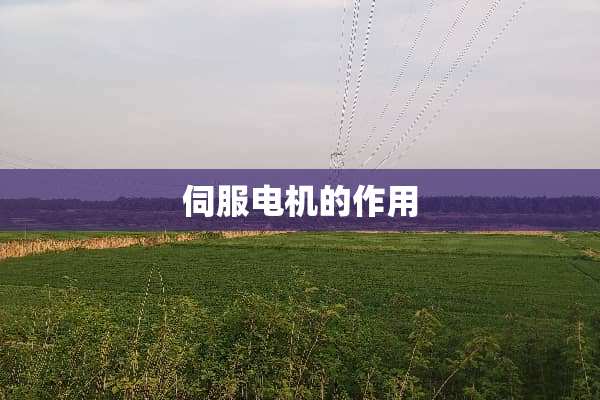 伺服电机的作用