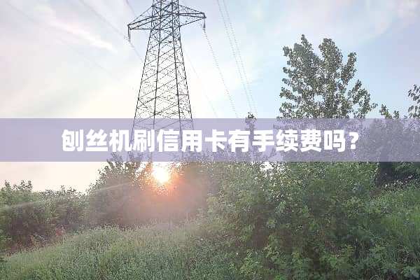 刨丝机刷***有手续费吗？