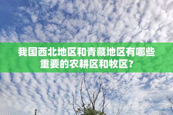 我国西北地区和青藏地区有哪些重要的农耕区和牧区？