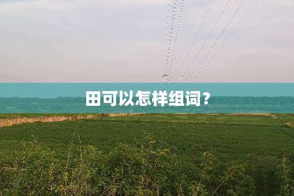 田可以怎样组词？