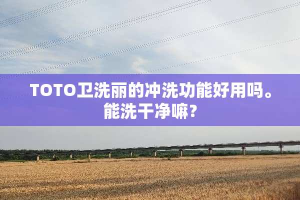 TOTO卫洗丽的冲洗功能好用吗。能洗干净嘛？