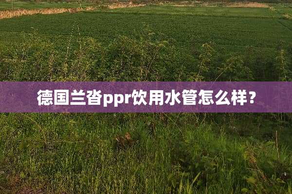 德国兰沓ppr饮用水管怎么样？