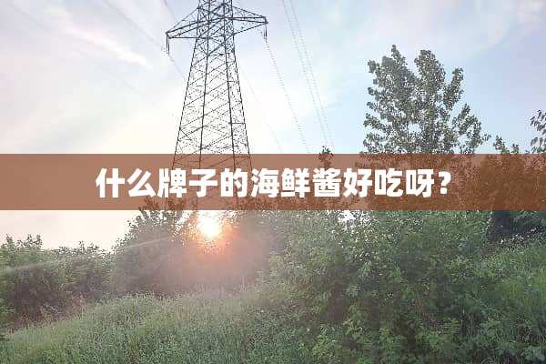 什么牌子的海鲜酱好吃呀？