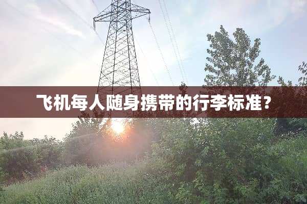 飞机每人随身携带的行李标准？
