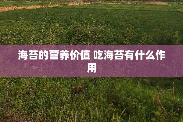海苔的营养价值 吃海苔有什么作用