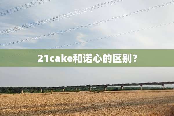 21cake和诺心的区别？