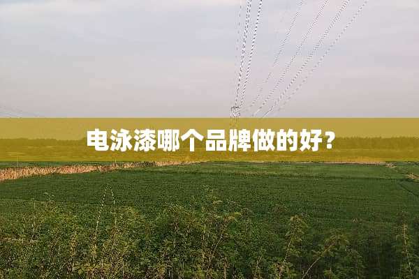 电泳漆哪个品牌做的好？