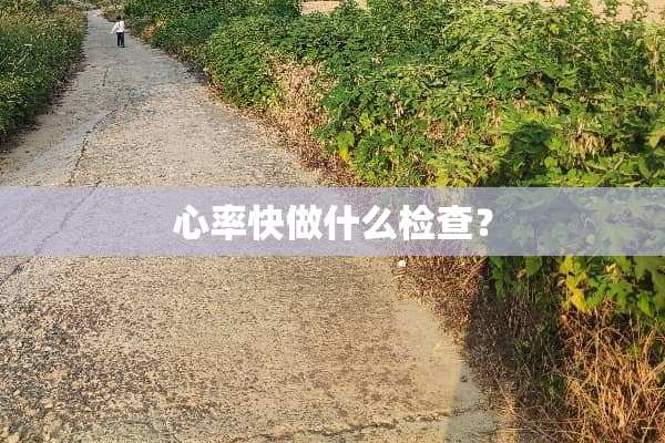 心率快做什么检查？