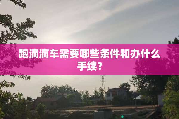 跑滴滴车需要哪些条件和办什么手续？