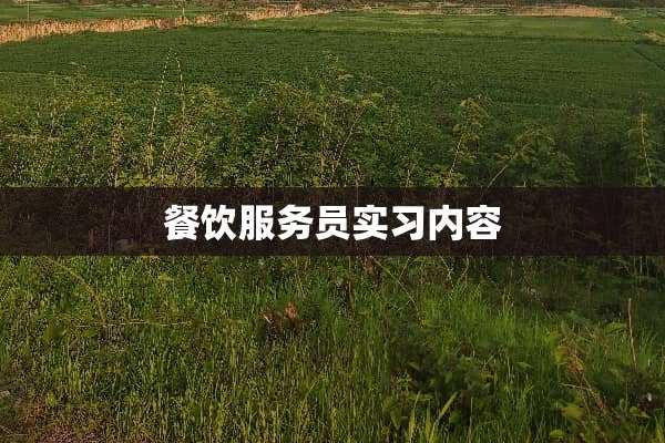 餐饮服务员实习内容