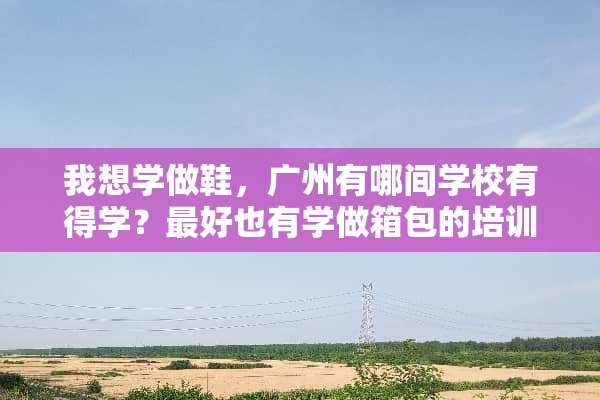 我想学做鞋，广州有哪间学校有得学？最好也有学做箱包的培训？
