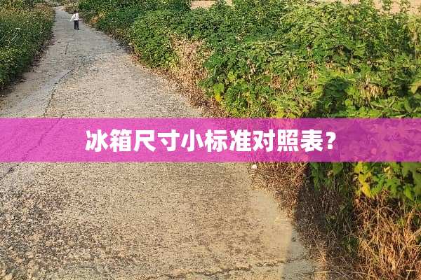 冰箱尺寸小标准对照表？