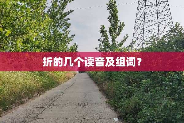 折的几个读音及组词？