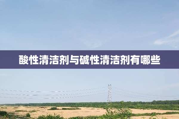 酸性清洁剂与碱性清洁剂有哪些