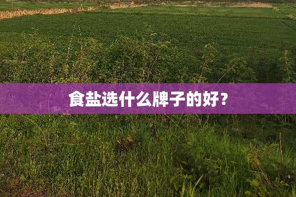 食盐选什么牌子的好？