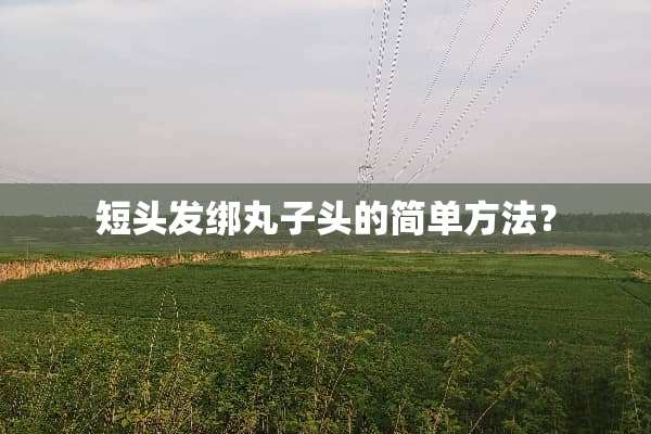 短头发绑丸子头的简单方法？