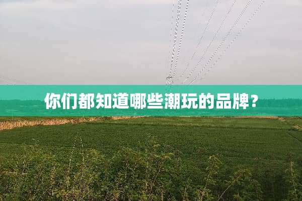你们都知道哪些潮玩的品牌？