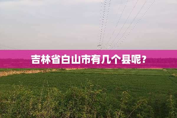 吉林省白山市有几个县呢？