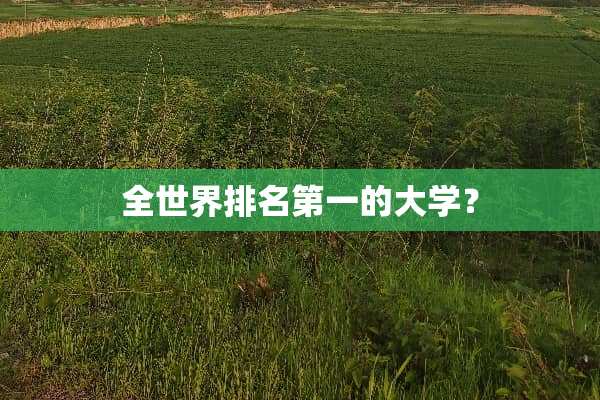 全世界排名第一的大学？
