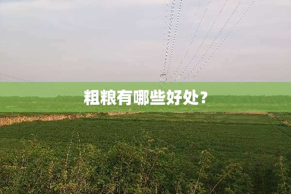粗粮有哪些好处？