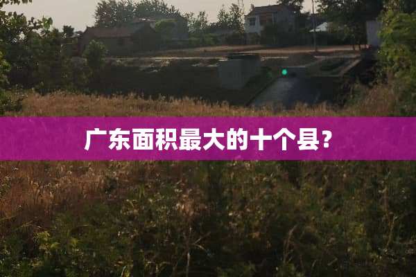 广东面积最大的十个县？